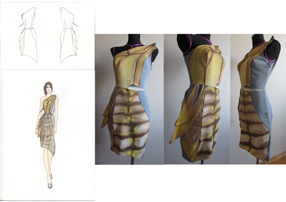 Дизайн одежды: Коллекция